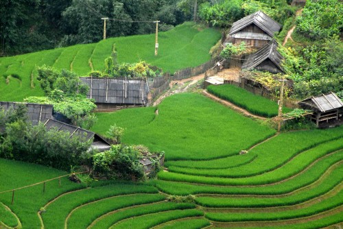 Kết quả hình ảnh cho bản sín chải