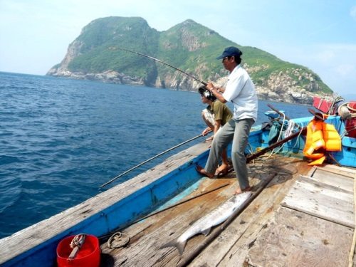 Câu cá trong chuyến tham quan An Thới.