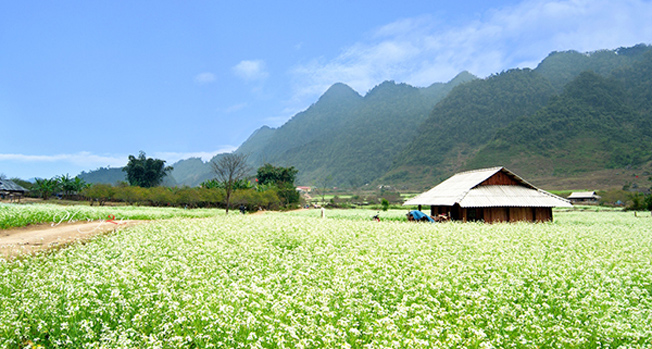 Mộc Châu.