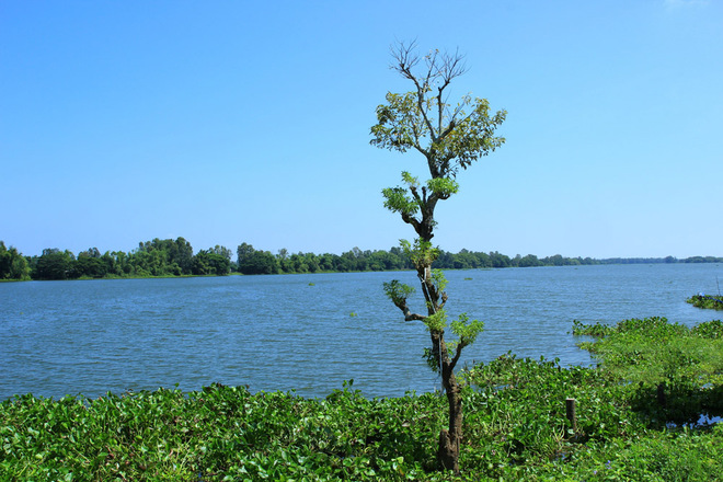 Vẻ đẹp thanh bình của miền sông nước An Giang | Dulich24