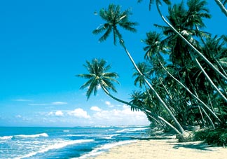 Bãi biển Phan Thiết