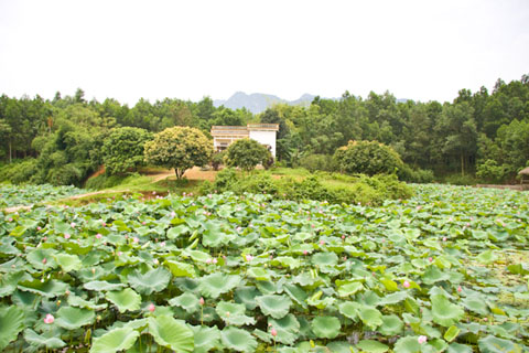 Nguyên sơ Đầm Đa - Tin180.com (Ảnh 8)