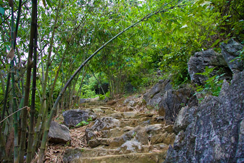 Những con đường đá rợp bóng cây xanh sẽ dẫn du khách tới những đền và động trong núi.