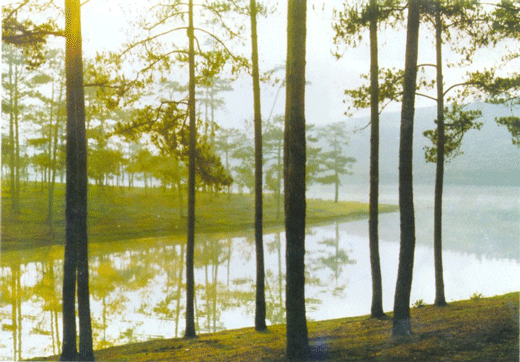 Hồ Than Thở đẹp chói chang trong ánh nắng vàng buổi sớm