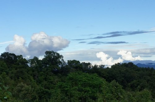 Đất trời Mường Nhé