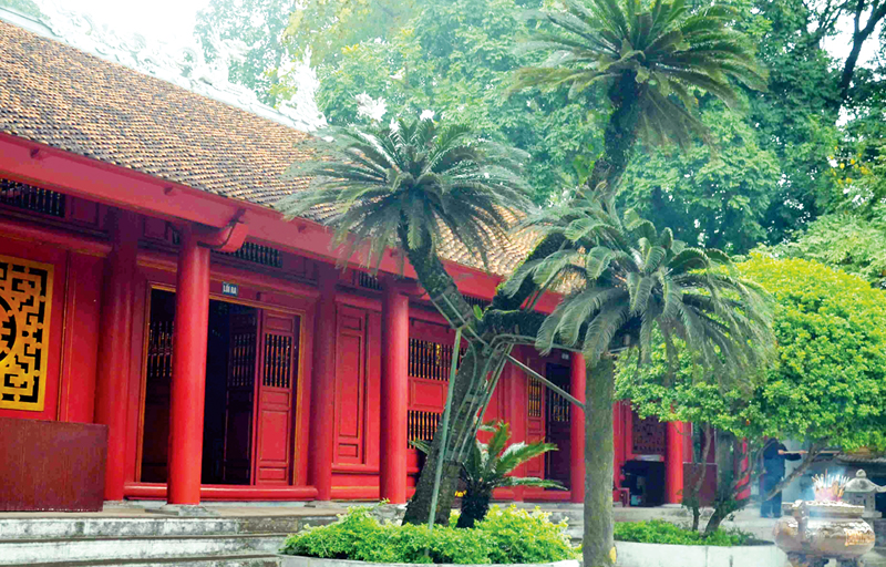 Cây thiên tuế hơn 800 tuổi ở chùa Thiên Quang
