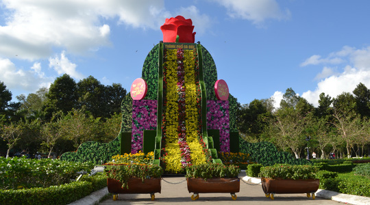 Thác hoa sắp lập kỷ lục Việt Nam ở Công viên Sa Đéc.