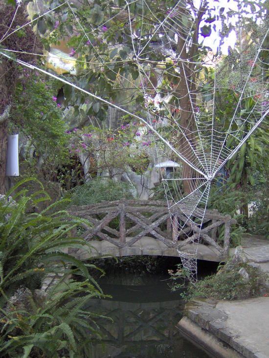 Chiếc cầu xinh xắn phía ngoài Lâu đài mạng nhện
