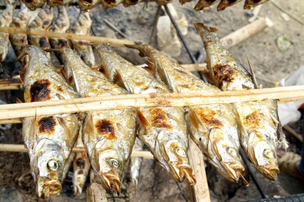 Cá nướng sông Đà