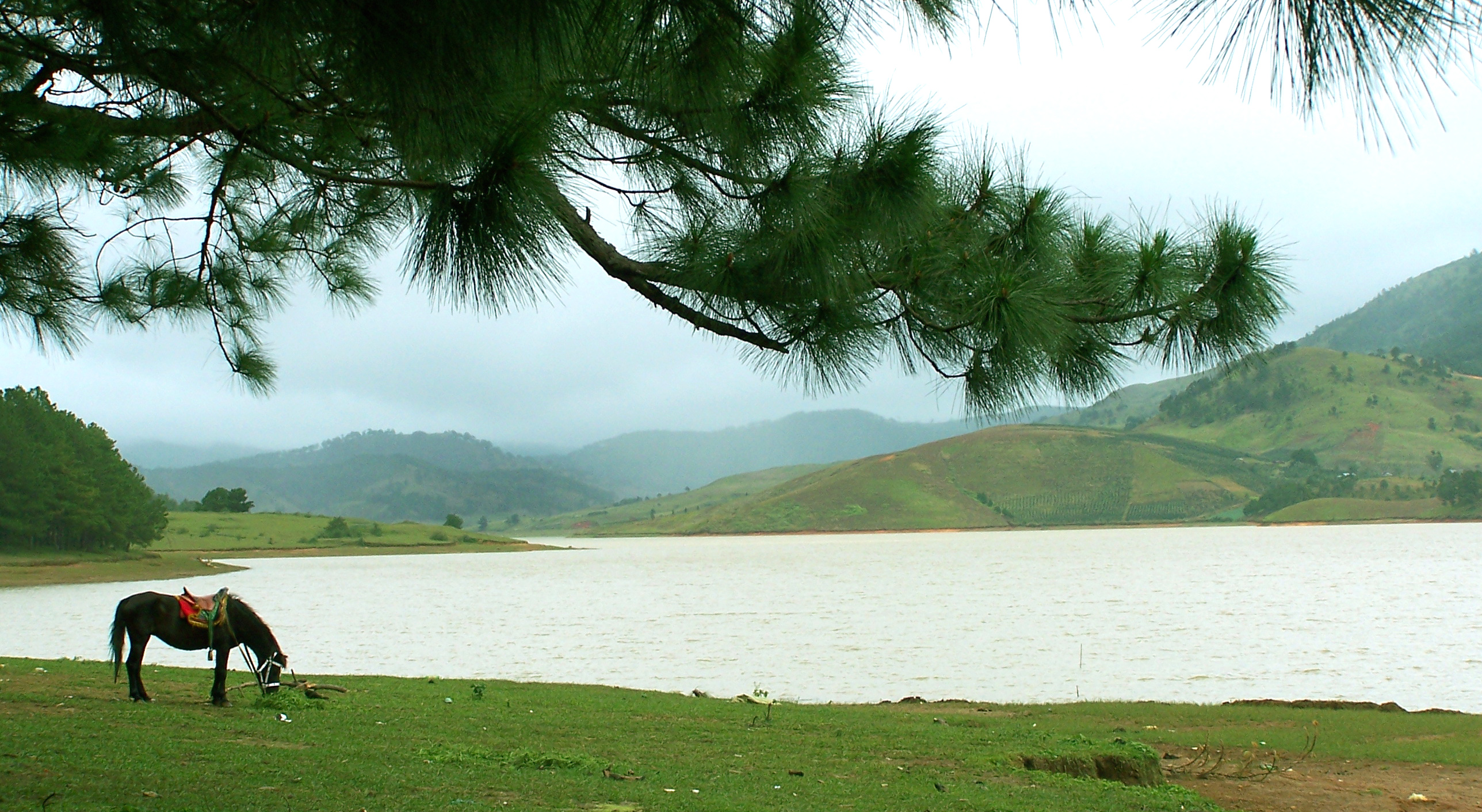 Hồ Dankia (Hố Suối Vàng)