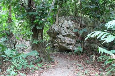 Đường xuống thác thật đẹp len lỏi giữa rừng cây và núi đá…