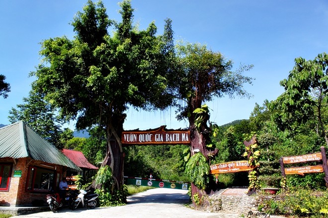 Cổng vườn quốc gia Bạch Mã – cách thành phố Huế chừng 40 km