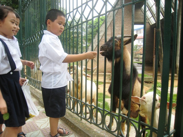 Trẻ em thích thú khi đi xem vườn thú