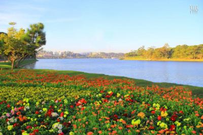 Hồ Tuyền Lâm một điểm đến không nên bỏ qua ở Đà Lạt Sự lôi cuốn của Hồ Tuyền Lâm khi sang mùa đông