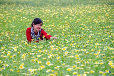 Đẹp lung linh mùa hoa cải bên sông Đuống