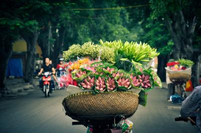 Rực sỡ sắc hoa trên đường phố Hà Nội