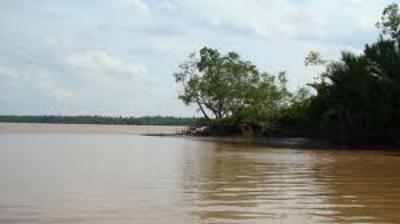 Cồn Ốc