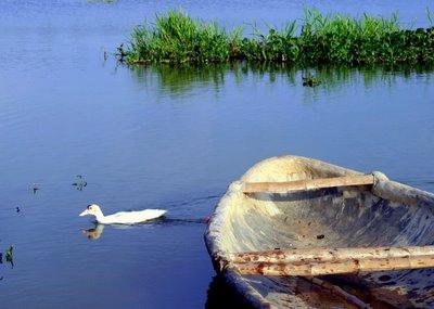 Đầm Vạc