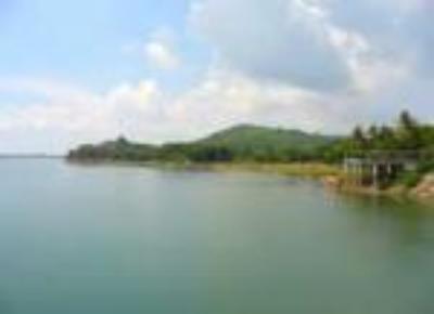 Hồ Dầu Tiếng