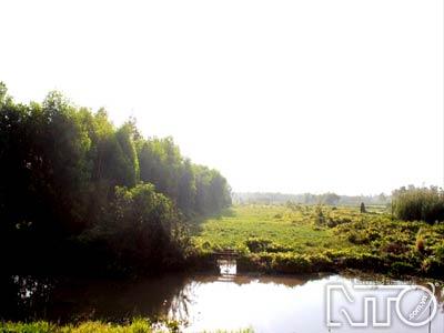 Khu sinh thái rừng tràm chim Vị Thủy