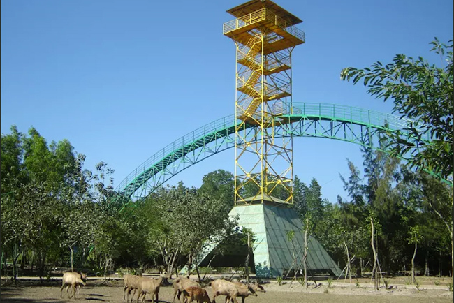 Tháp Tang Bồng nằm ở giữa khu du lịch Vàm Sát.
