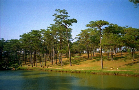 Nằm ở phía Bắc thành phố Đà Lạt là khu du lịch hồ Than Thở.