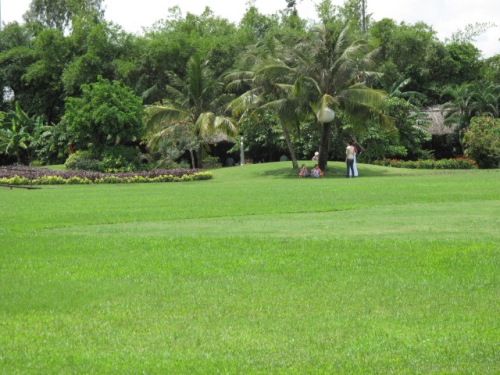 Bãi cỏ xanh rì ở khu du lịch Văn Thánh