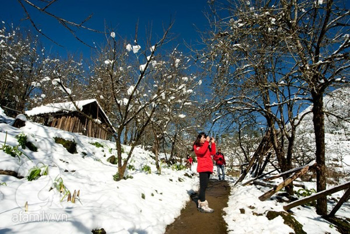 Tuyết rơi trắng xoá ở Sapa những ngày đông